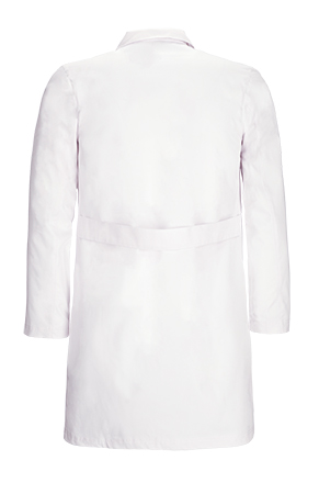 Vista posteriore del capo