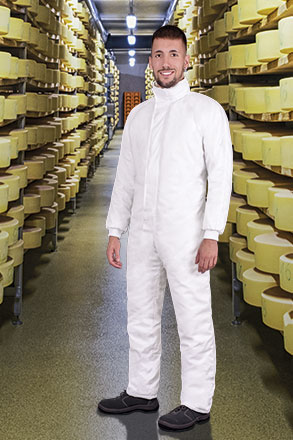 Food Industry Overall