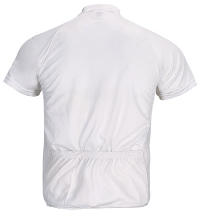 Vista posteriore del capo