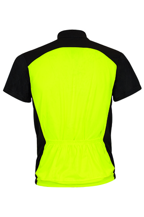 Vista posteriore del capo