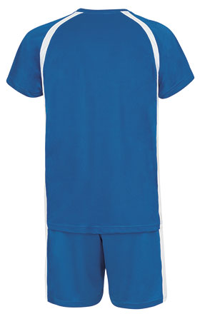 Vista posteriore del capo