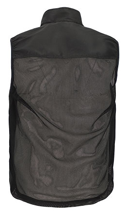 Partea din spate detaliata