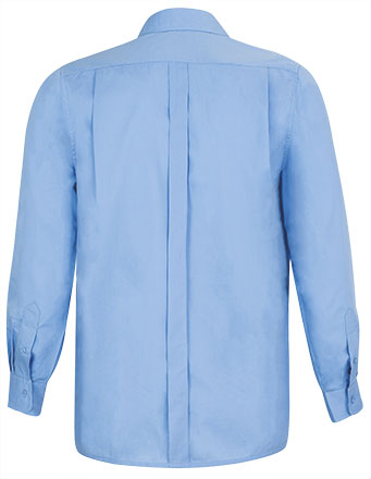 Vista posteriore del capo