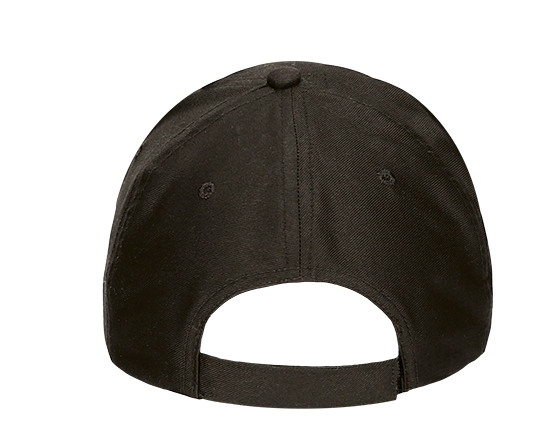 Vista posteriore del capo