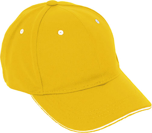 sunflower yellow-white