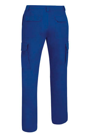 Vista posteriore del capo