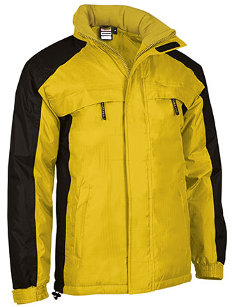 jaune tournesol-noir