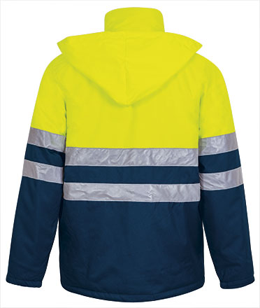 Vista posteriore del capo