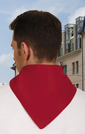 Eșarfă pătrată FIESTA